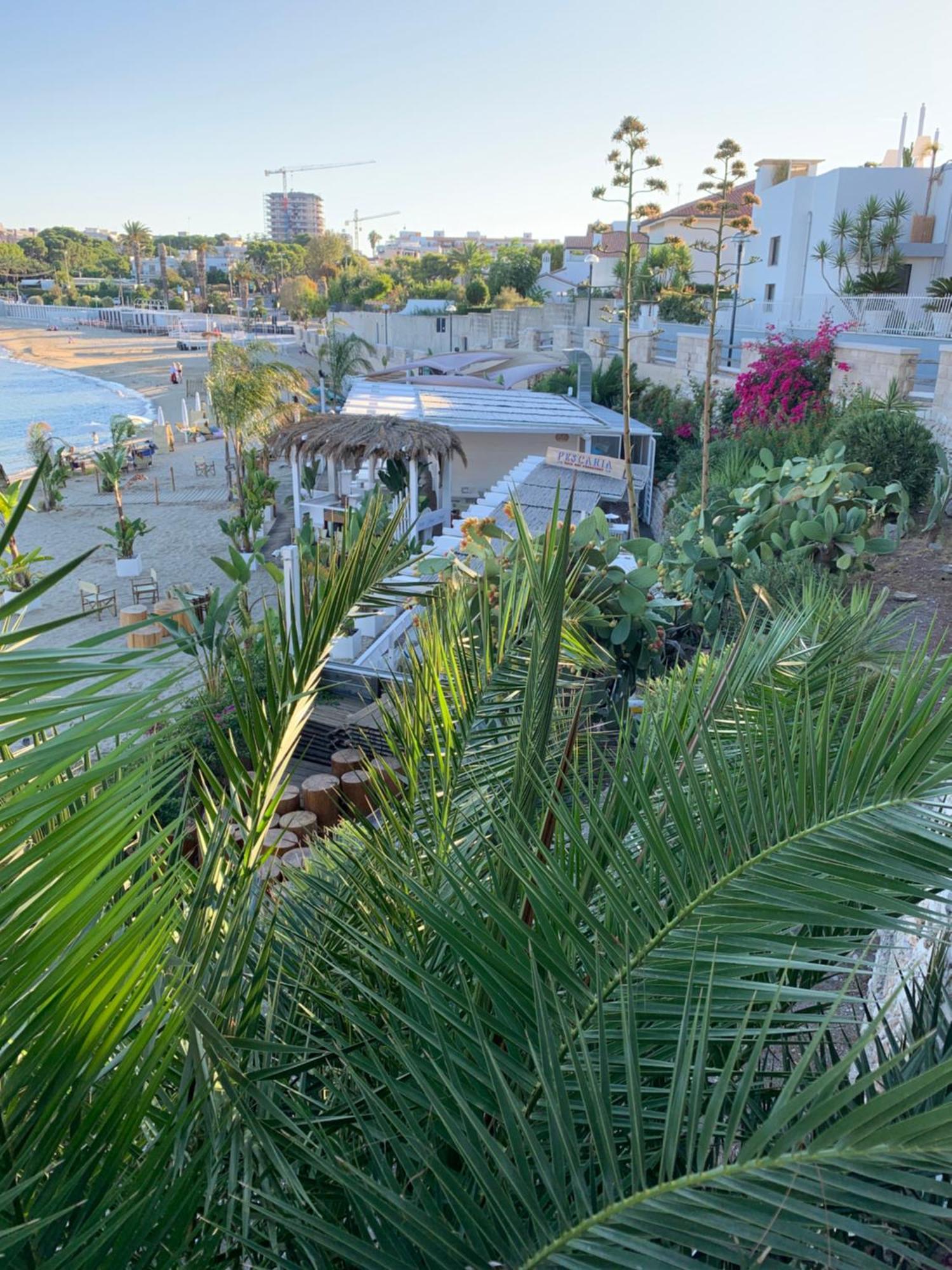 Vischi Apartment Trani By Le Marinelle Loc Turistica ภายนอก รูปภาพ